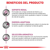 VHN RENAL CAT - BENEFICIOS